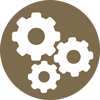 Culture & Leadership Diagnostics