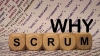 Why Scrum