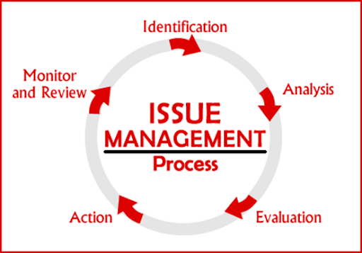 Manage Project Issues